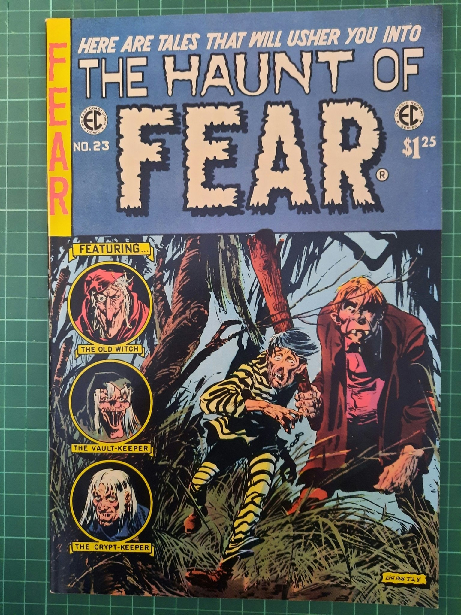 The haunt of fear #23