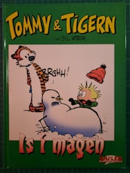 Tommy & Tigern - Is i magen