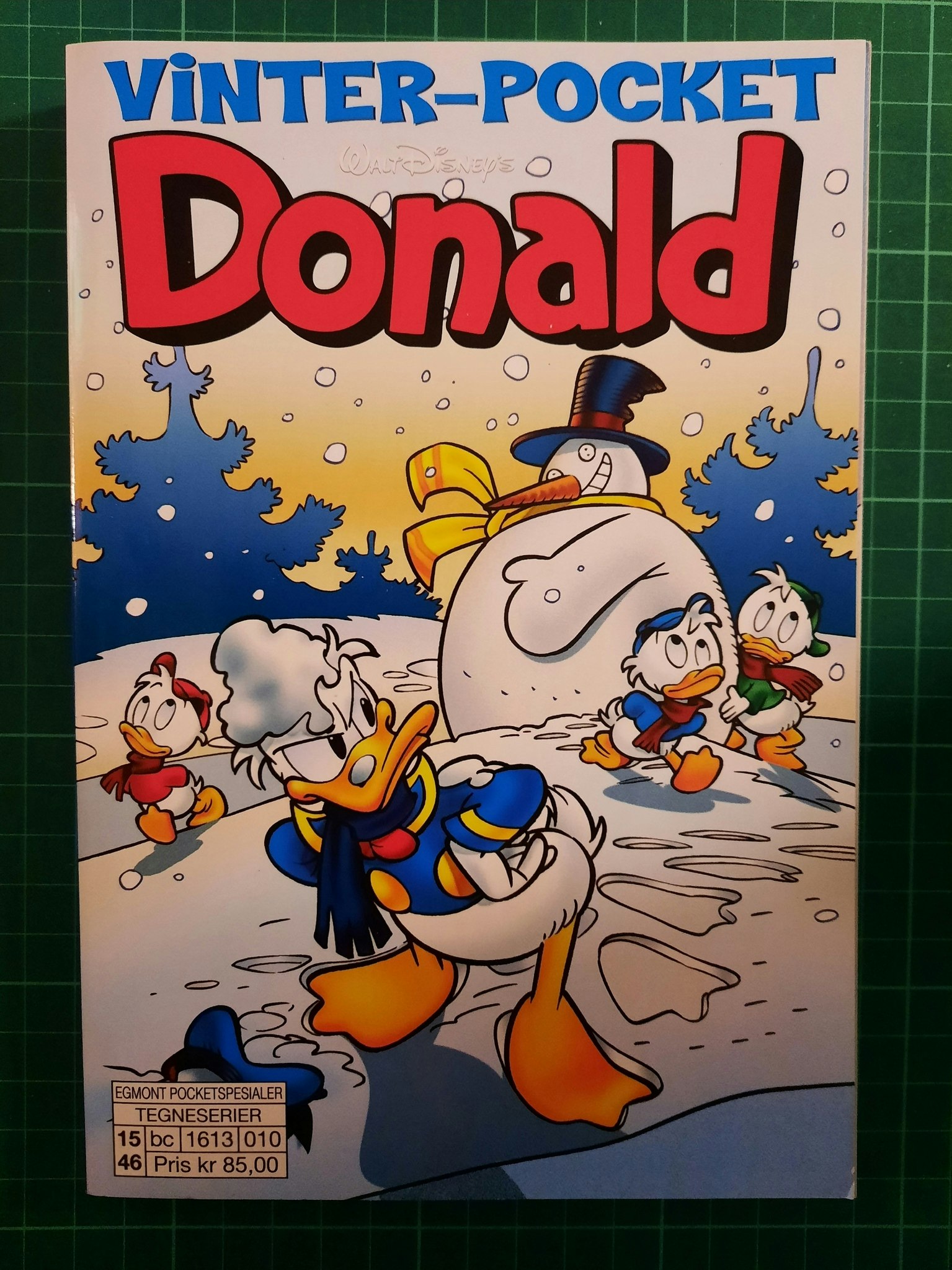 Vinter-pocket Donald 2015