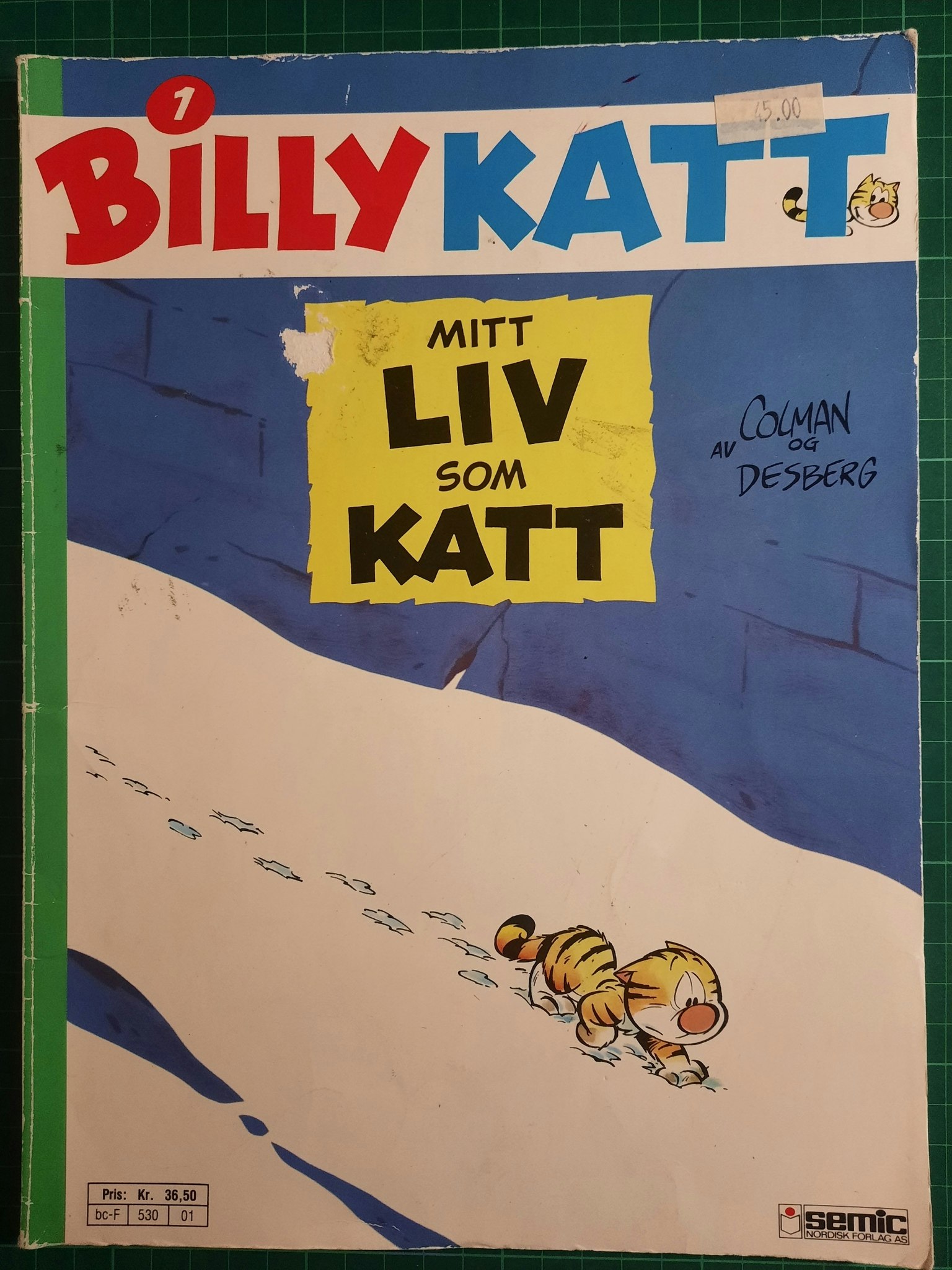Billy katt 01 : Mitt liv som katt