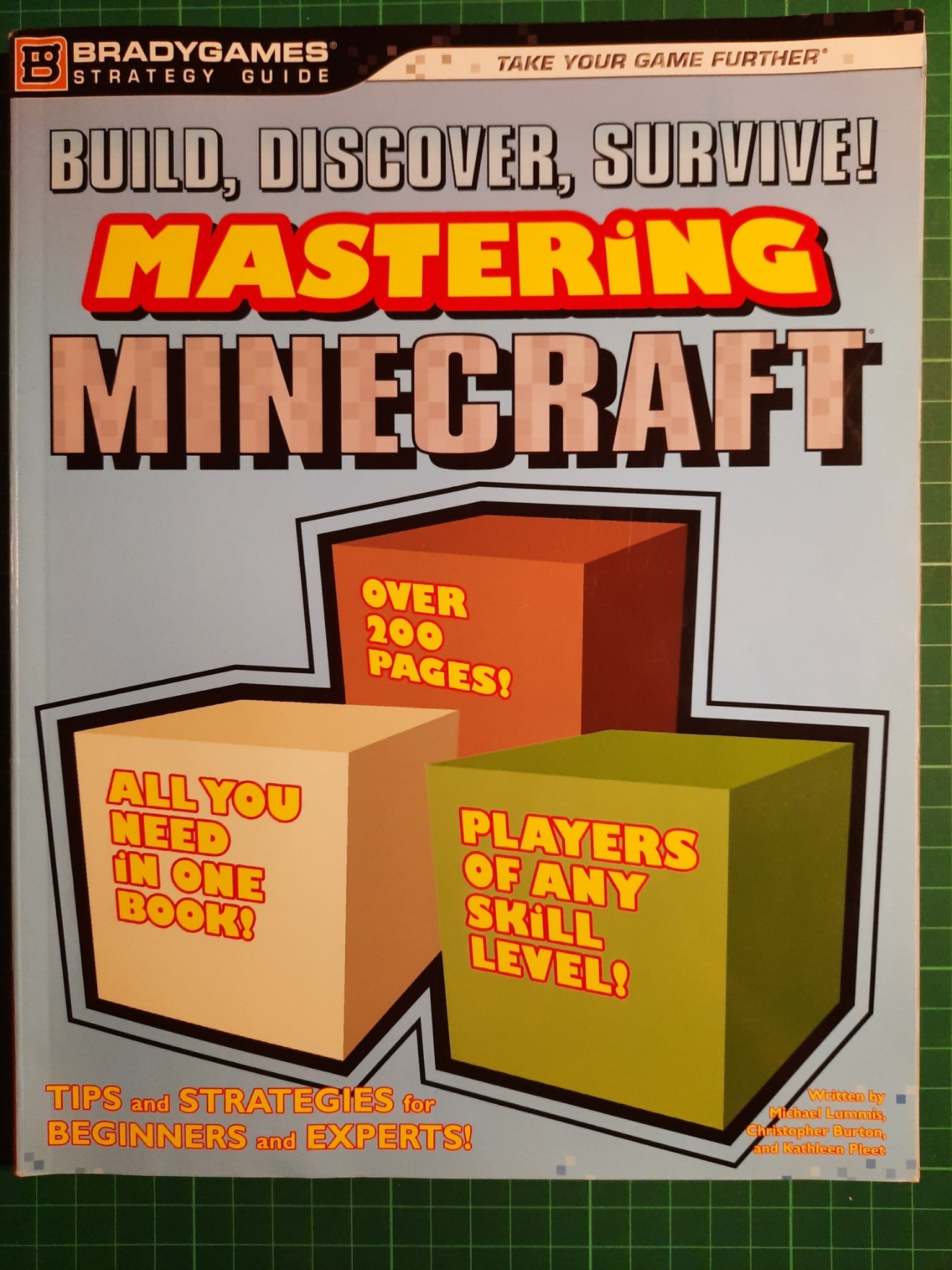 Mastering Minecraft