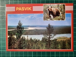 Pasvik