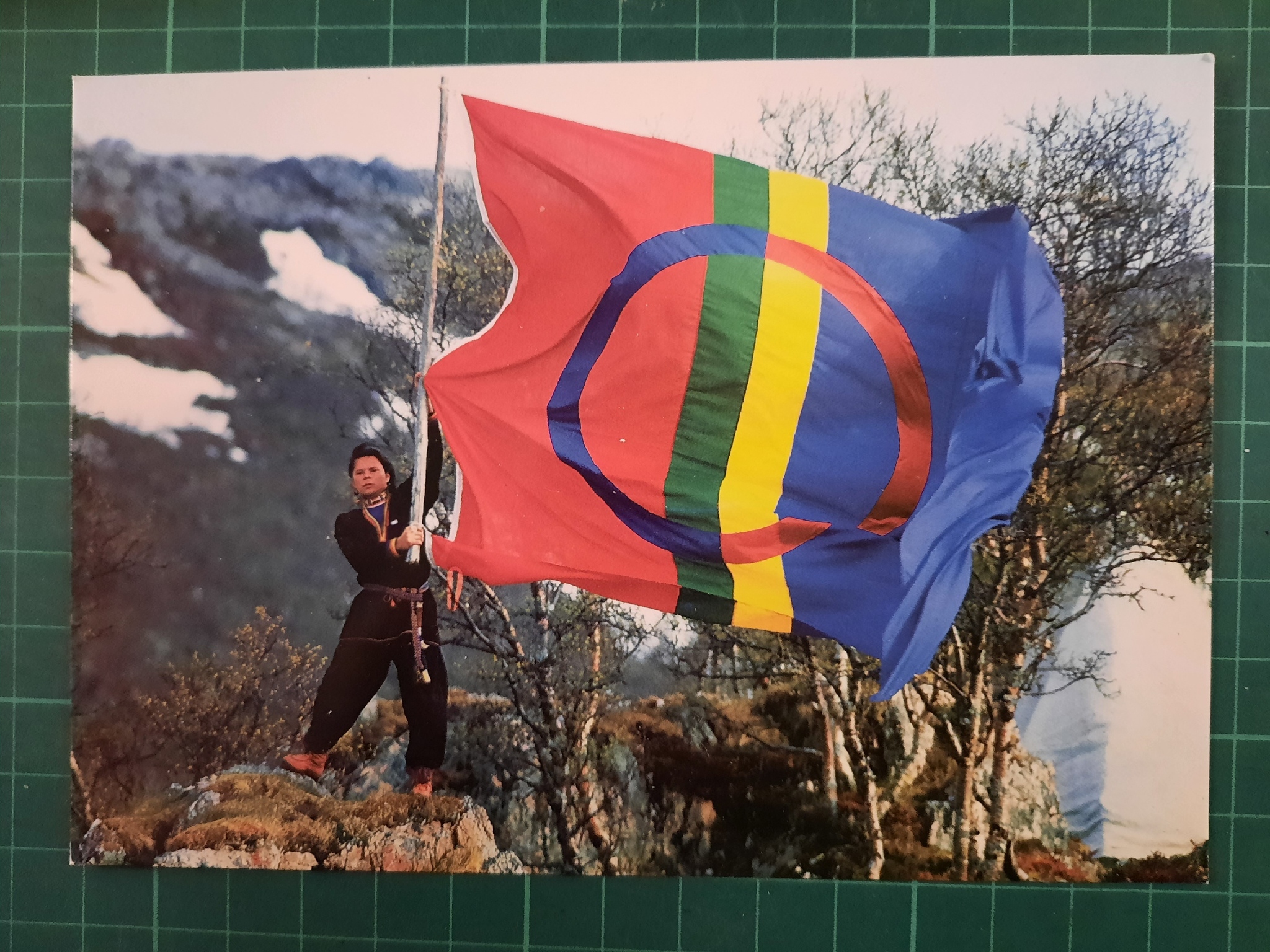 Det samiske flagg