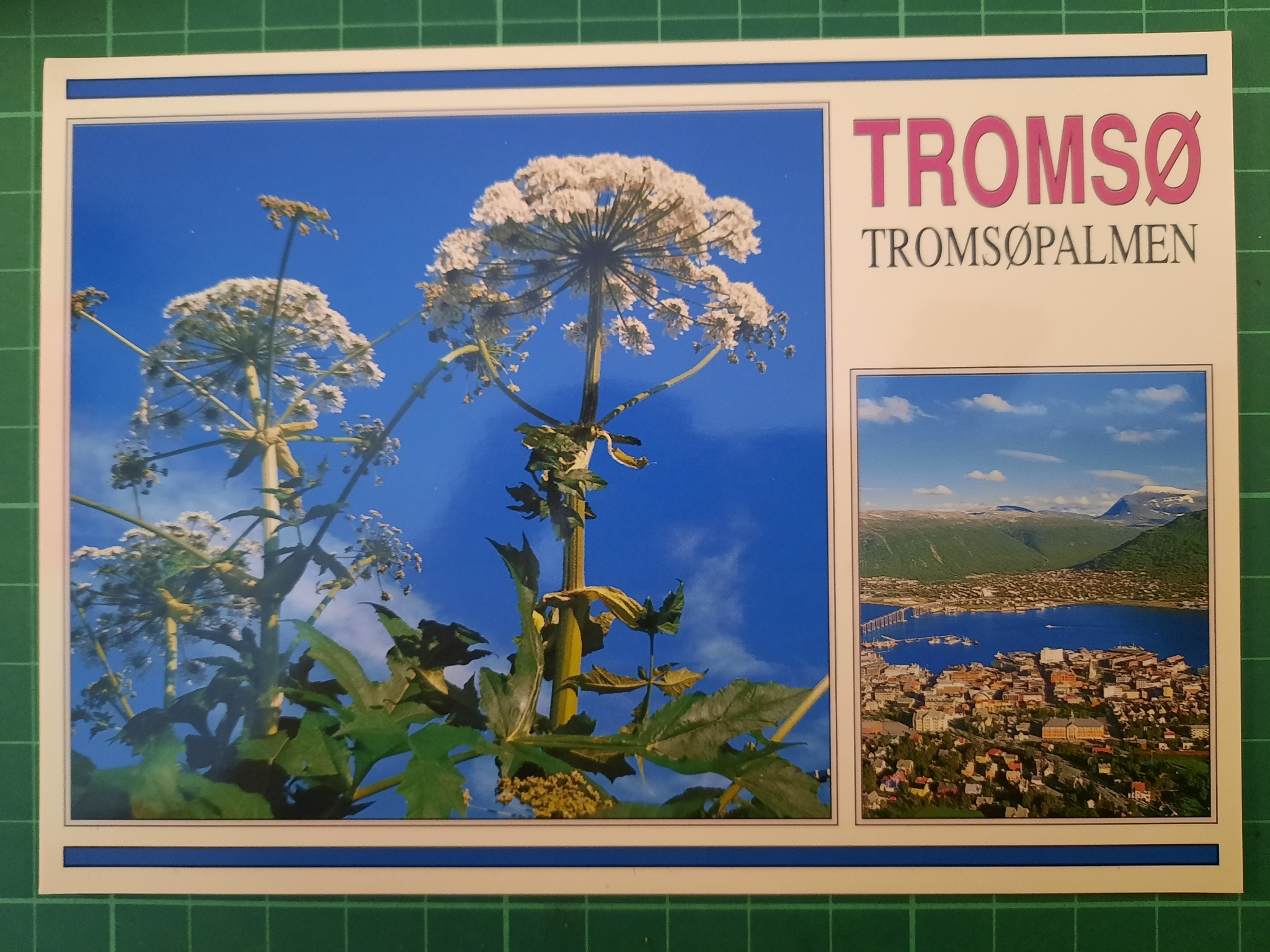 Tromsø - Tromsøpalmen