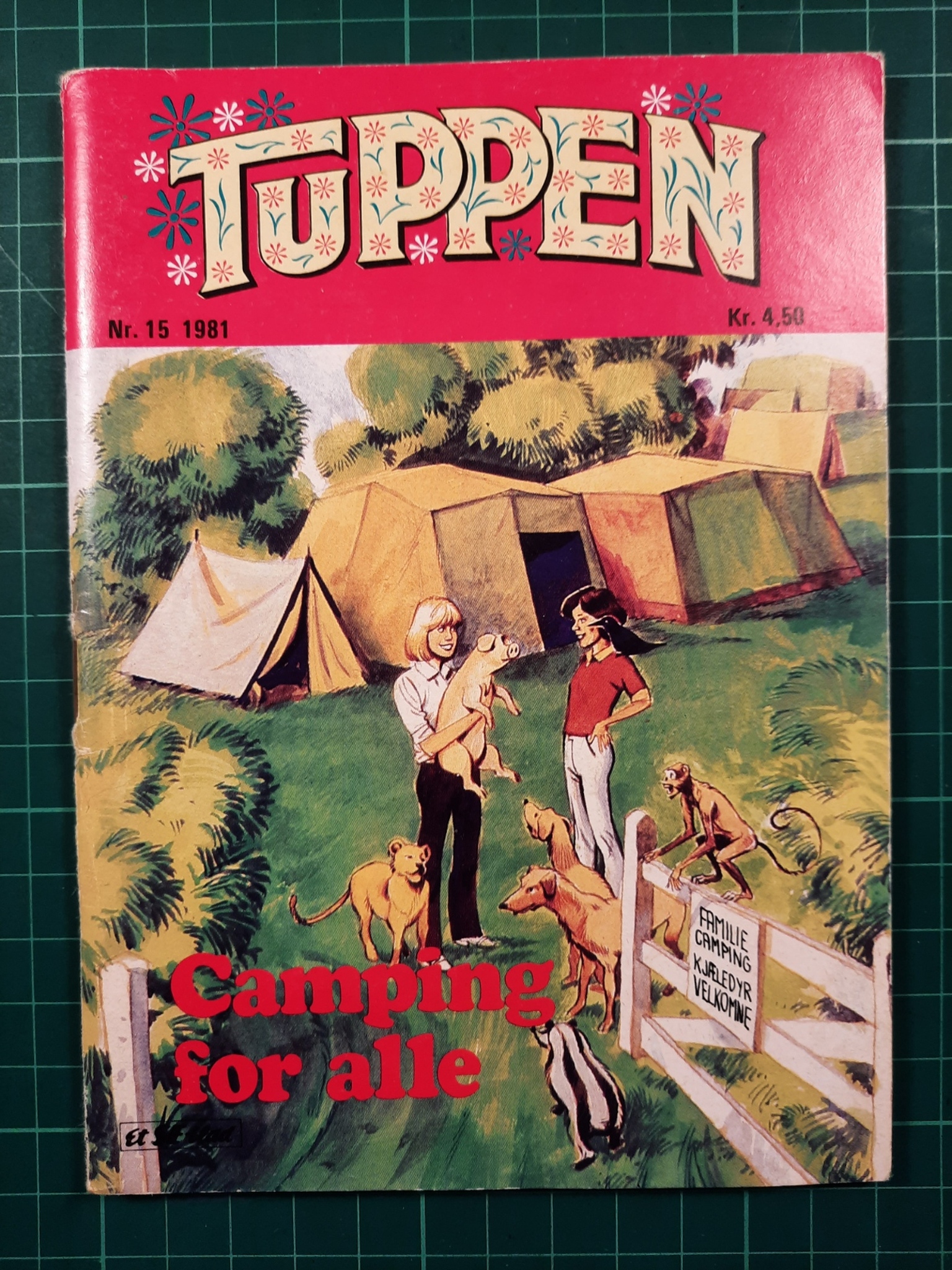 Tuppen 1981 - 15