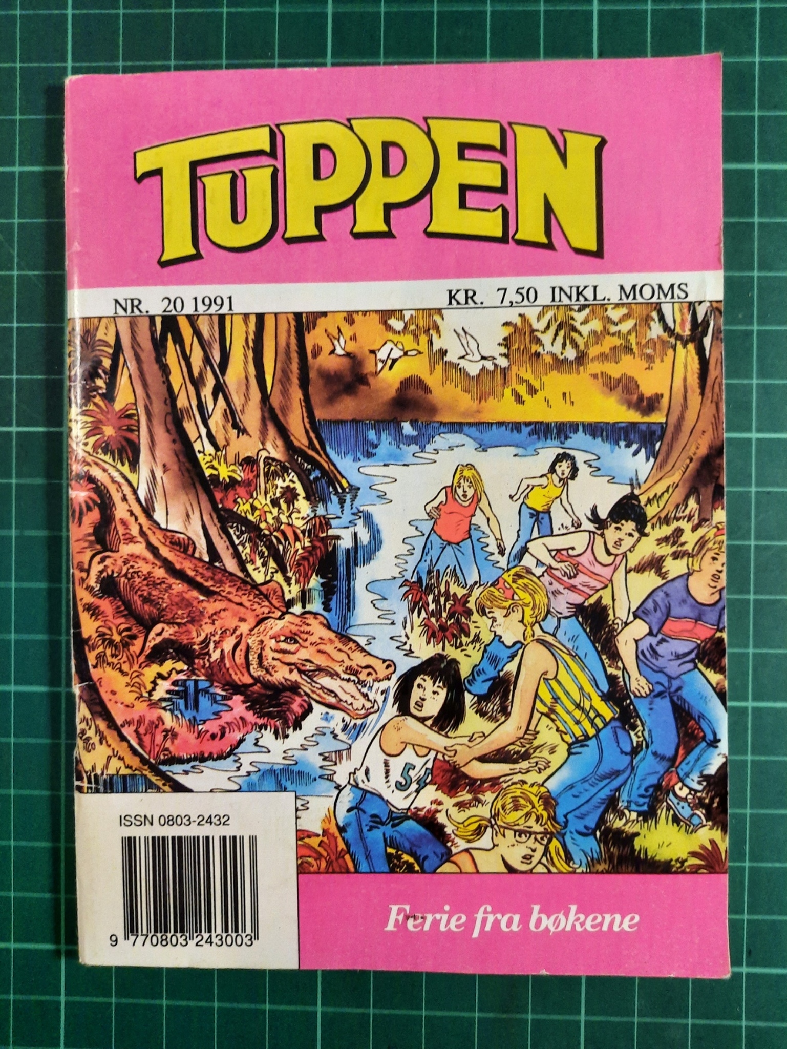 Tuppen 1991 - 20