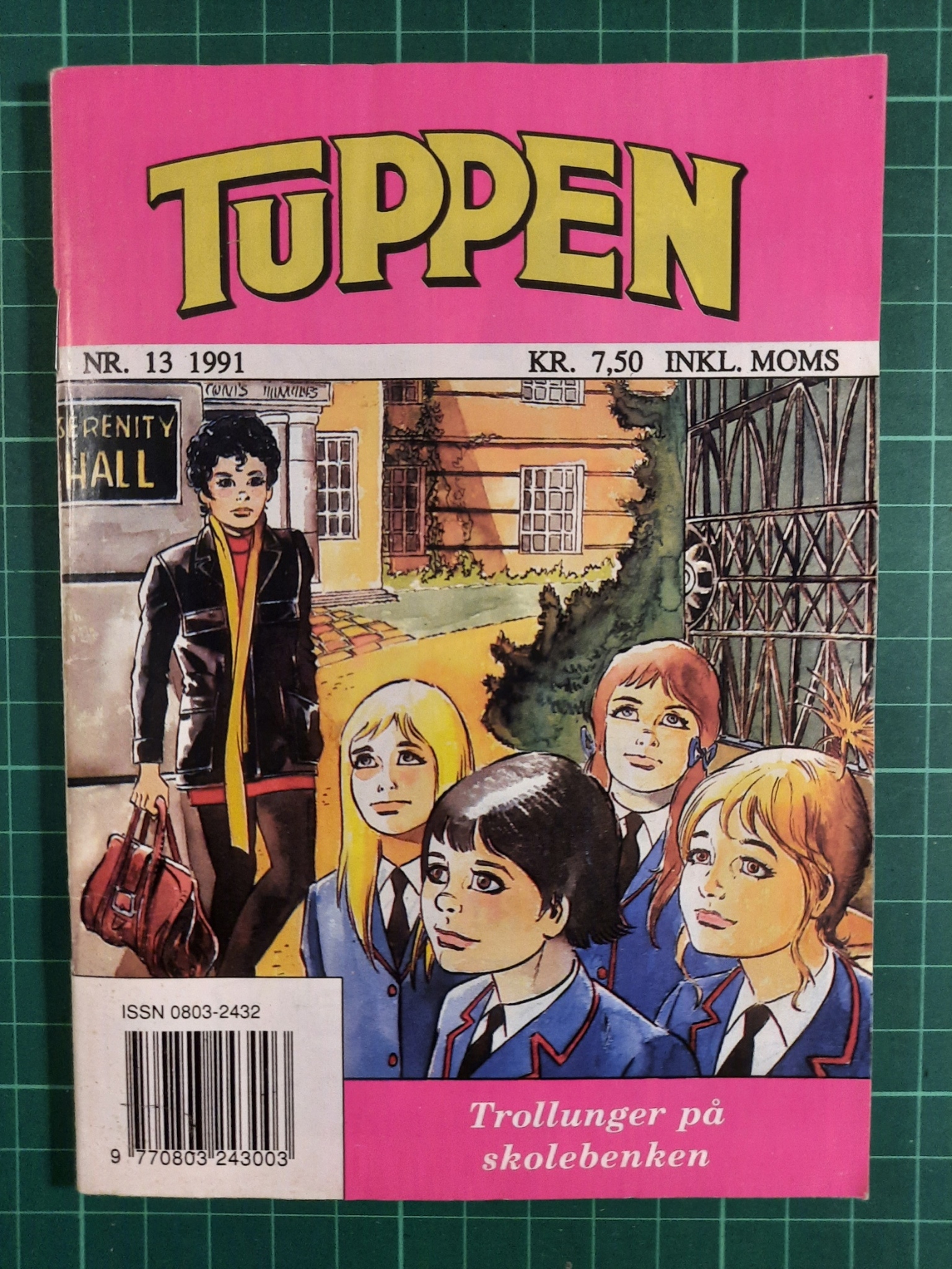 Tuppen 1991 - 13