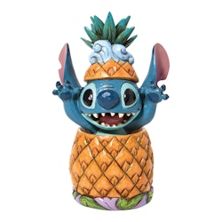 Stitch in a pineapple