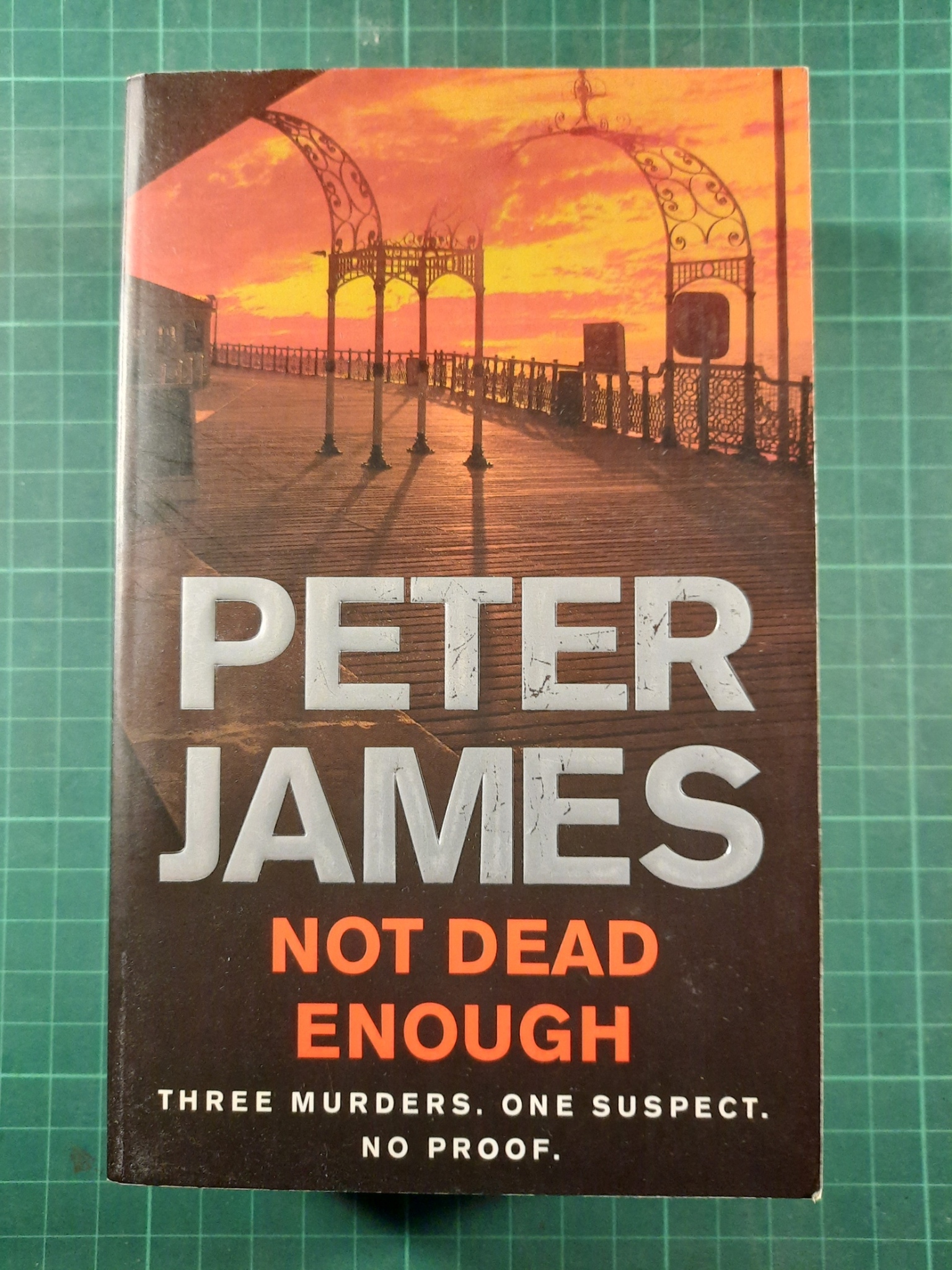 Peter James : Not dead enough