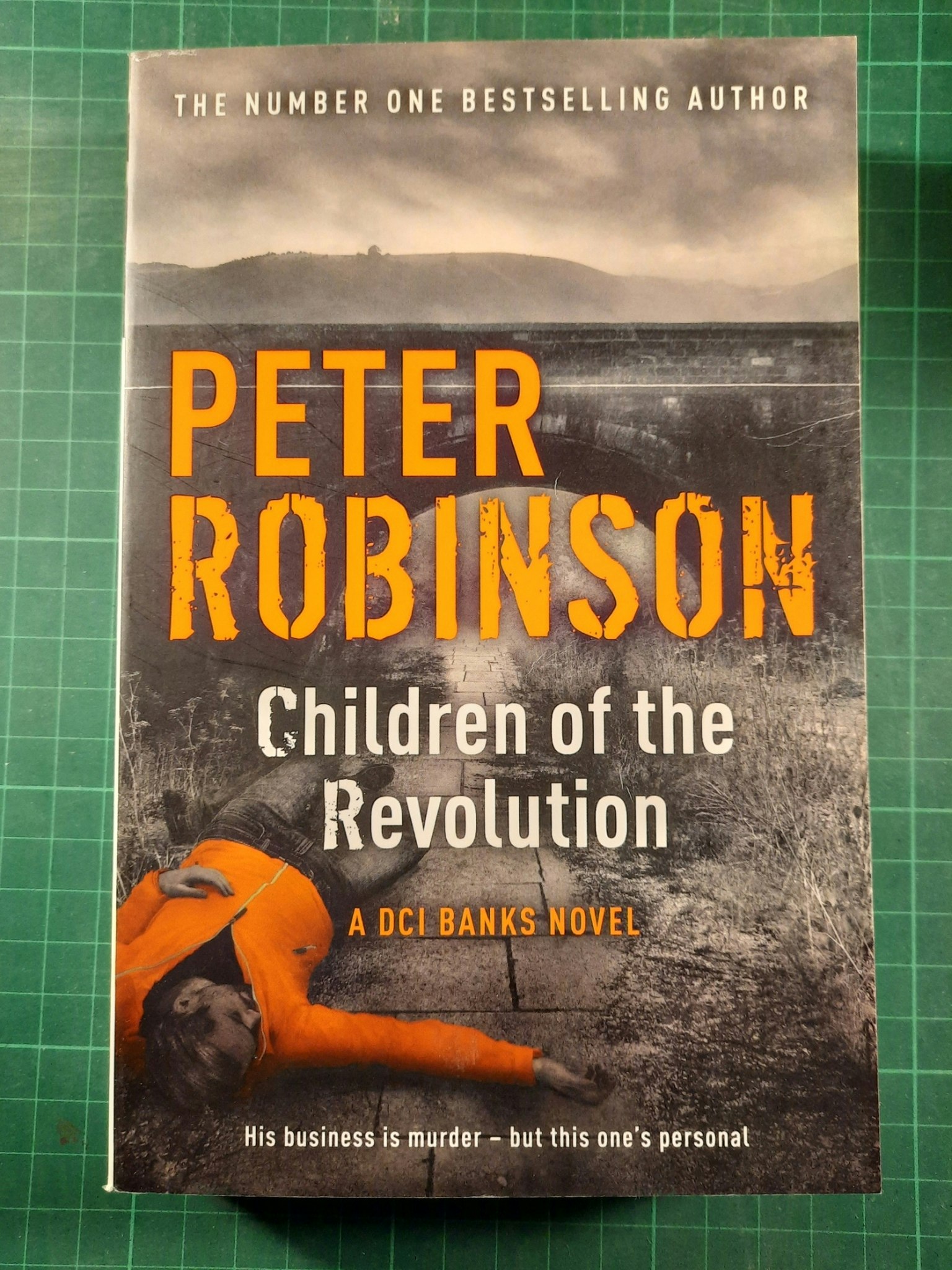 Peter Robinson : Children of the revolution