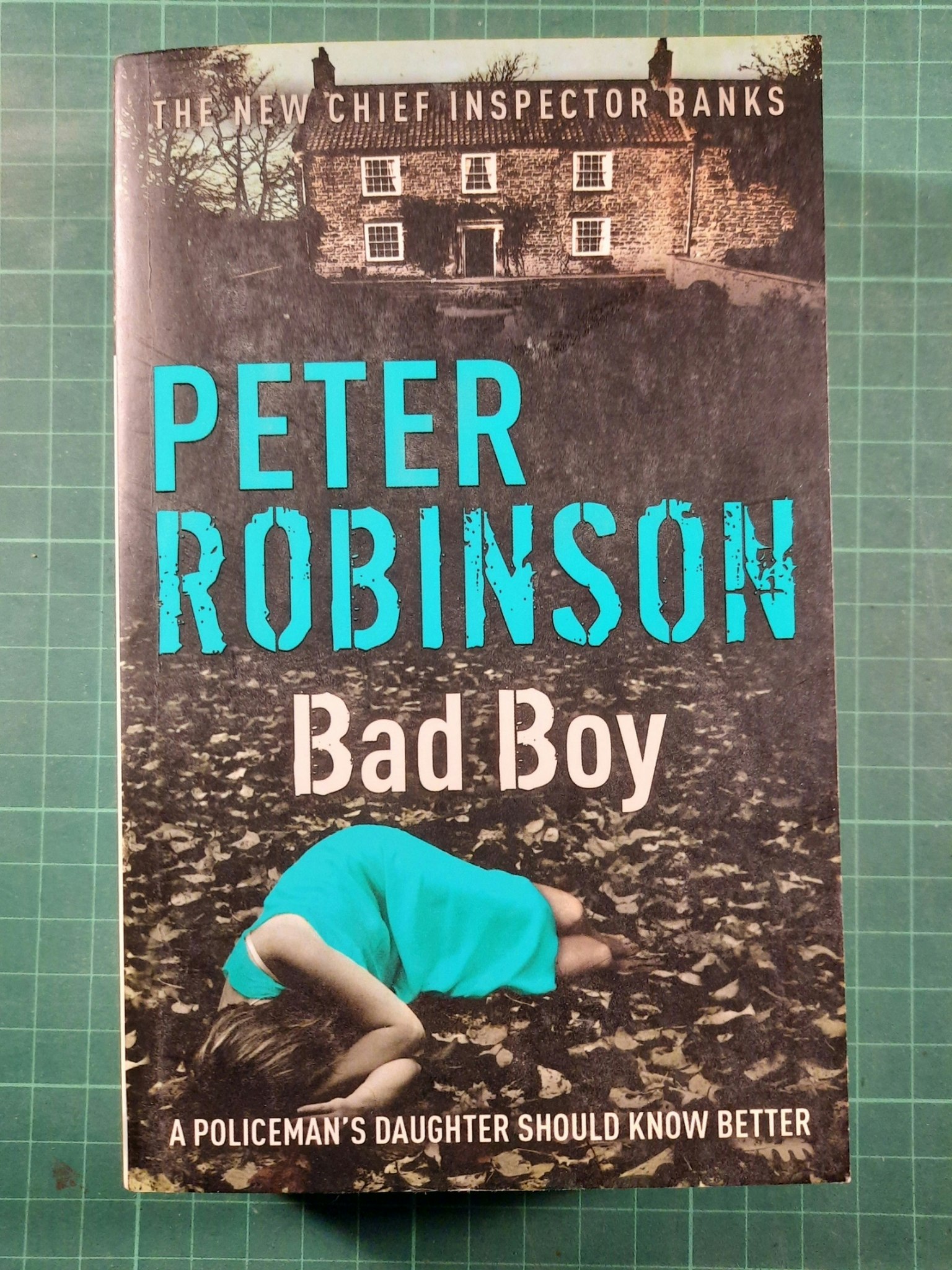 Peter Robinson : Bad boy