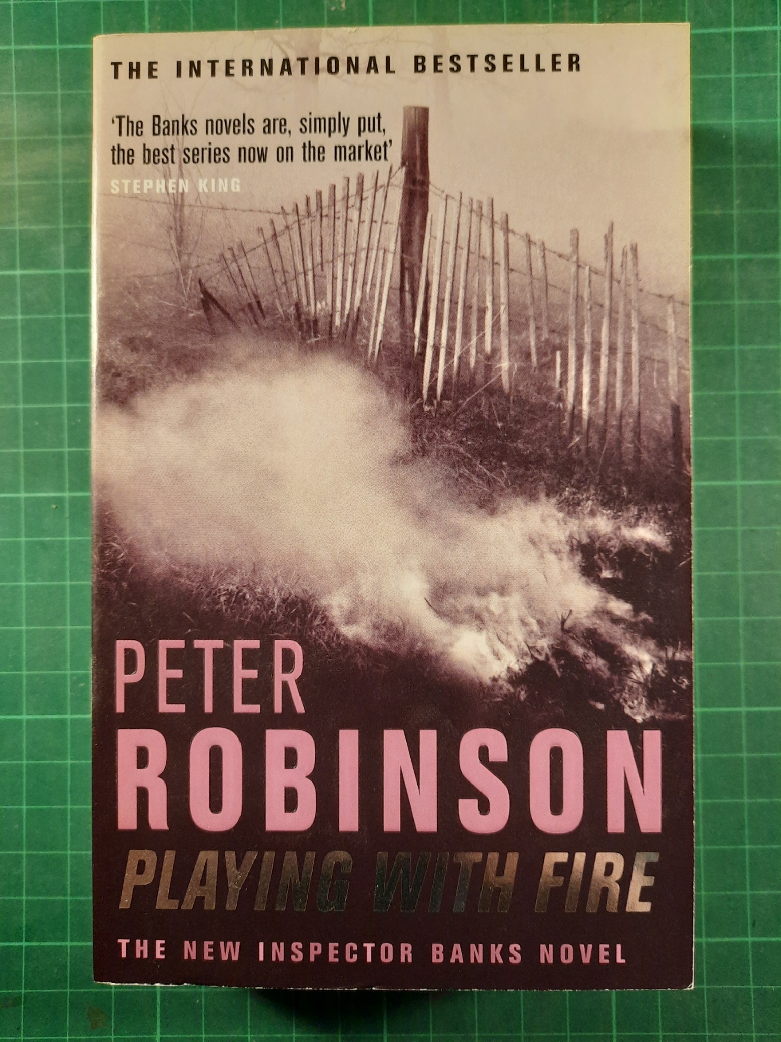 Peter Robinson : playing with fire