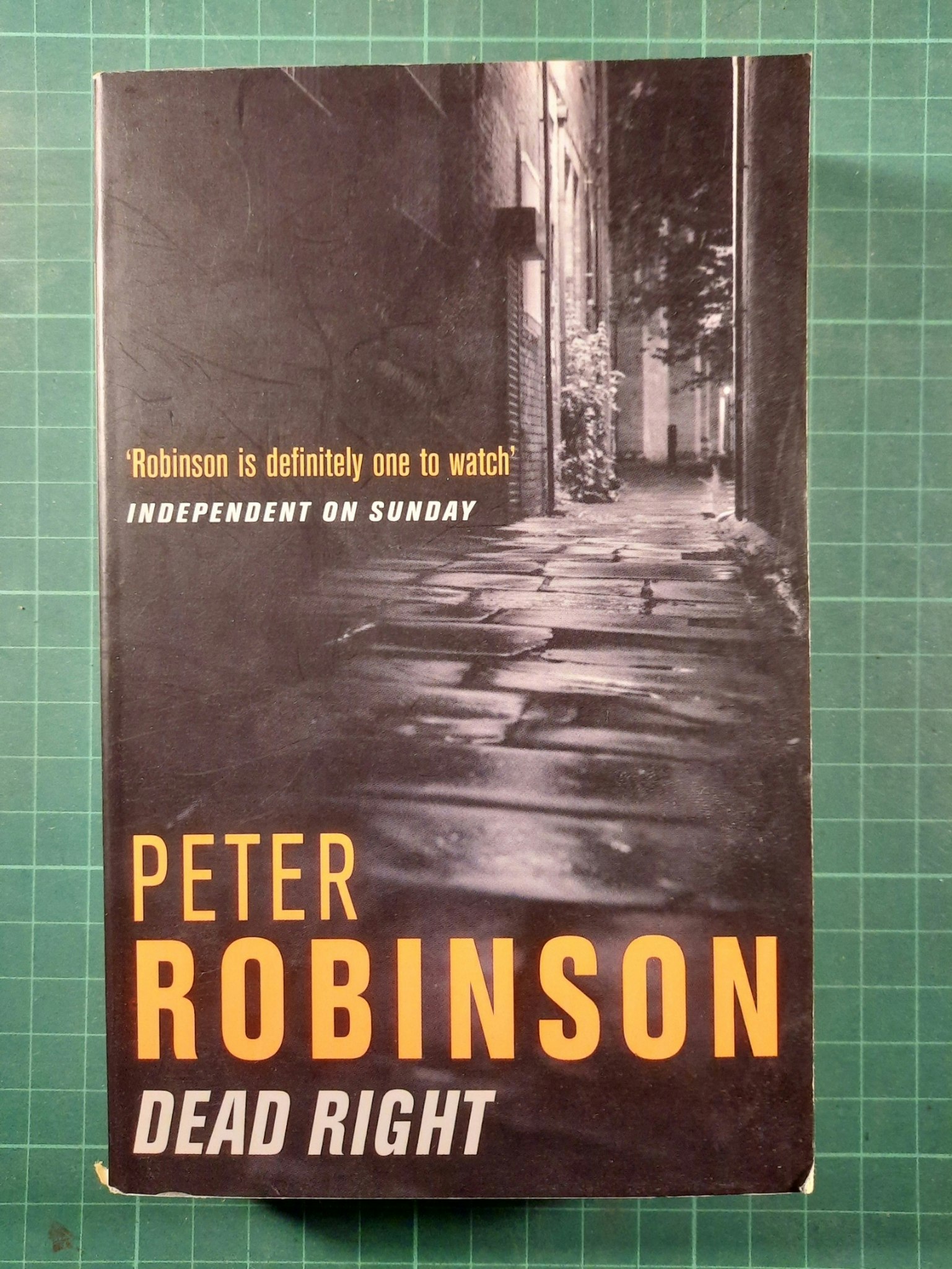 Peter Robinson : Dead night