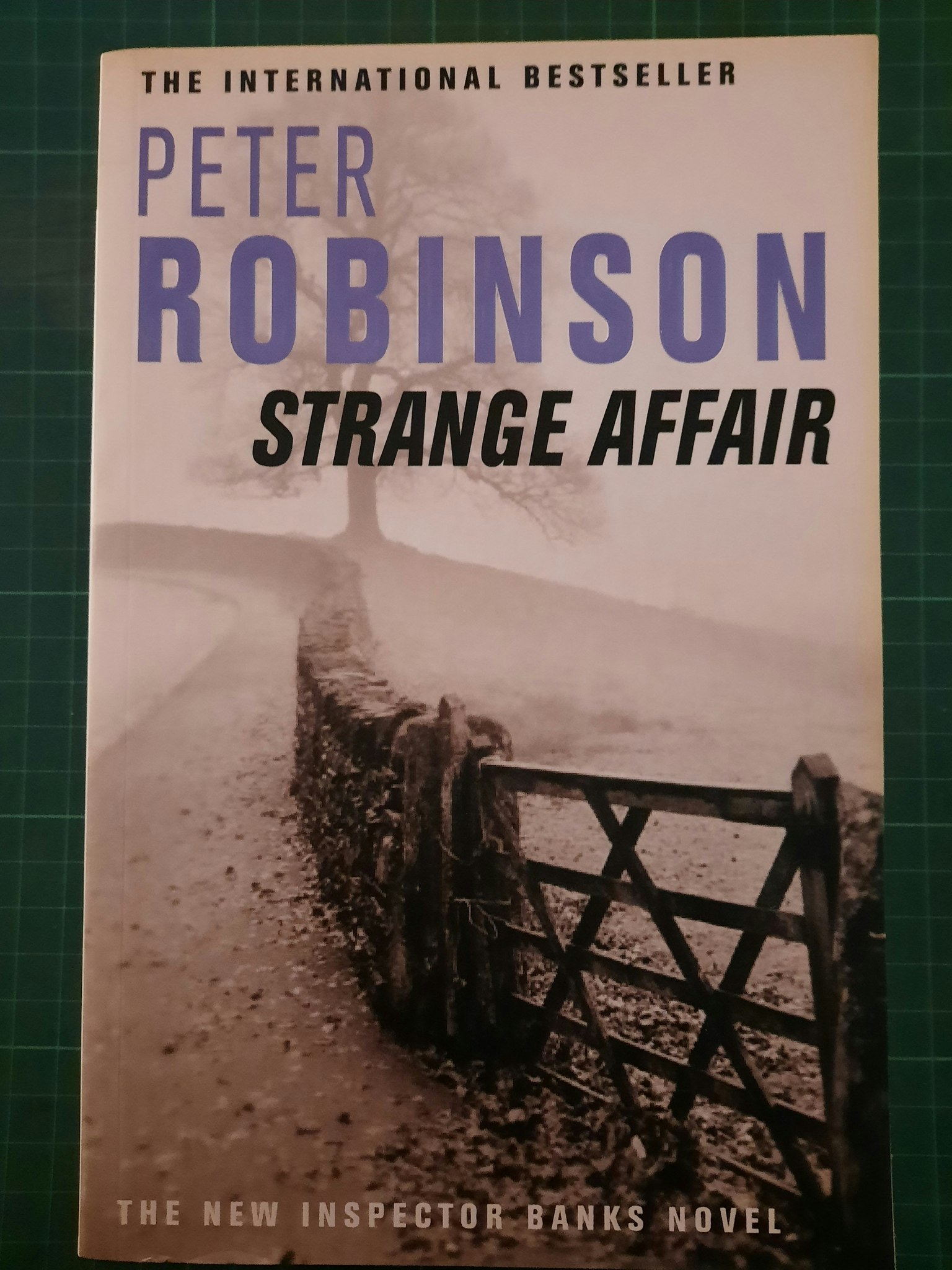 Peter Robinson : Strange affair