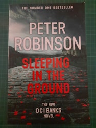 Peter Robinson : Sleeping in the ground