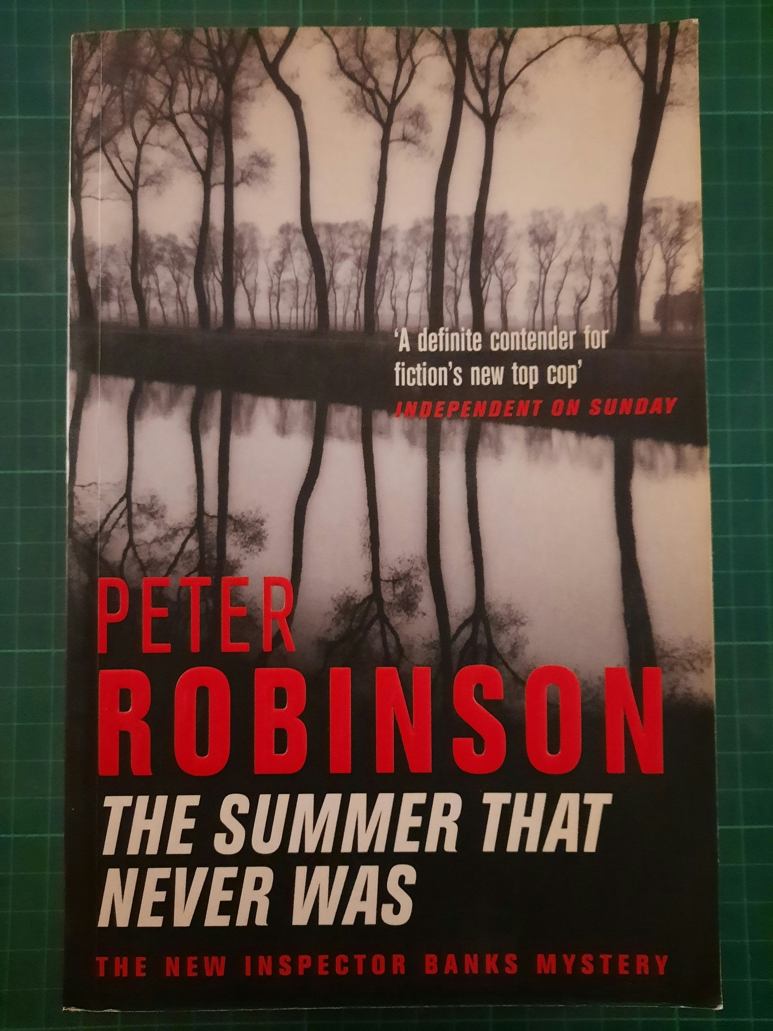 Peter Robinson : The summer that never was