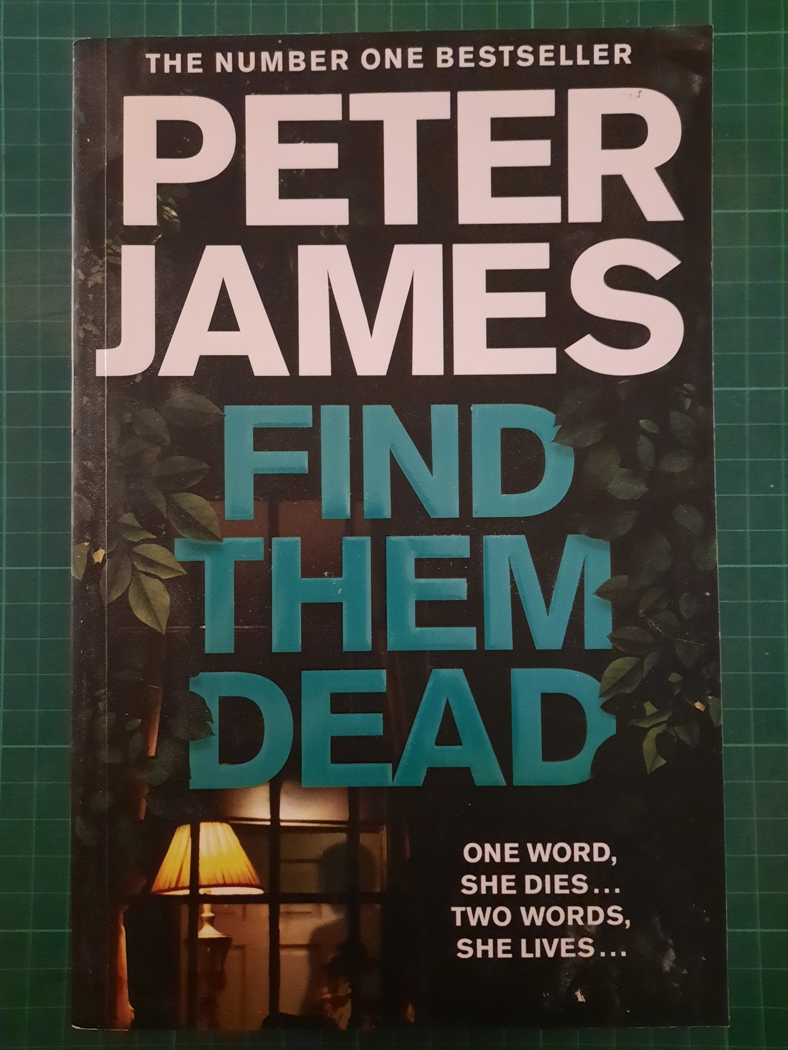 Peter James : Find them dead