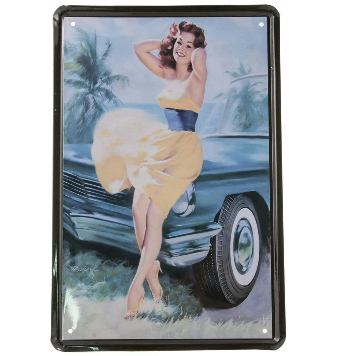 Emaljeskilt Pin up ved bil