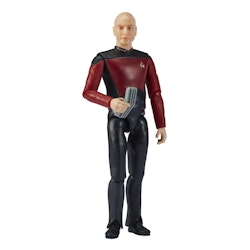 Star Trek Universe :  Jean-Luc Picard 12 cm