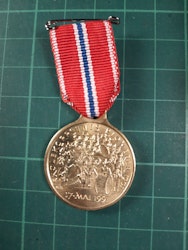 17 Mai medalje 1991 Skolekorpsene