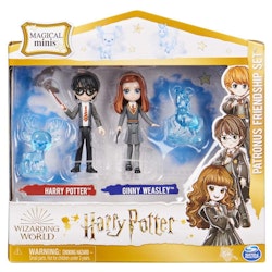 Harry Potter Magical Mini Friend Set- Harry & Ginny