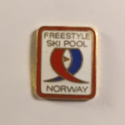 Pins : Freestyle ski pool Norway
