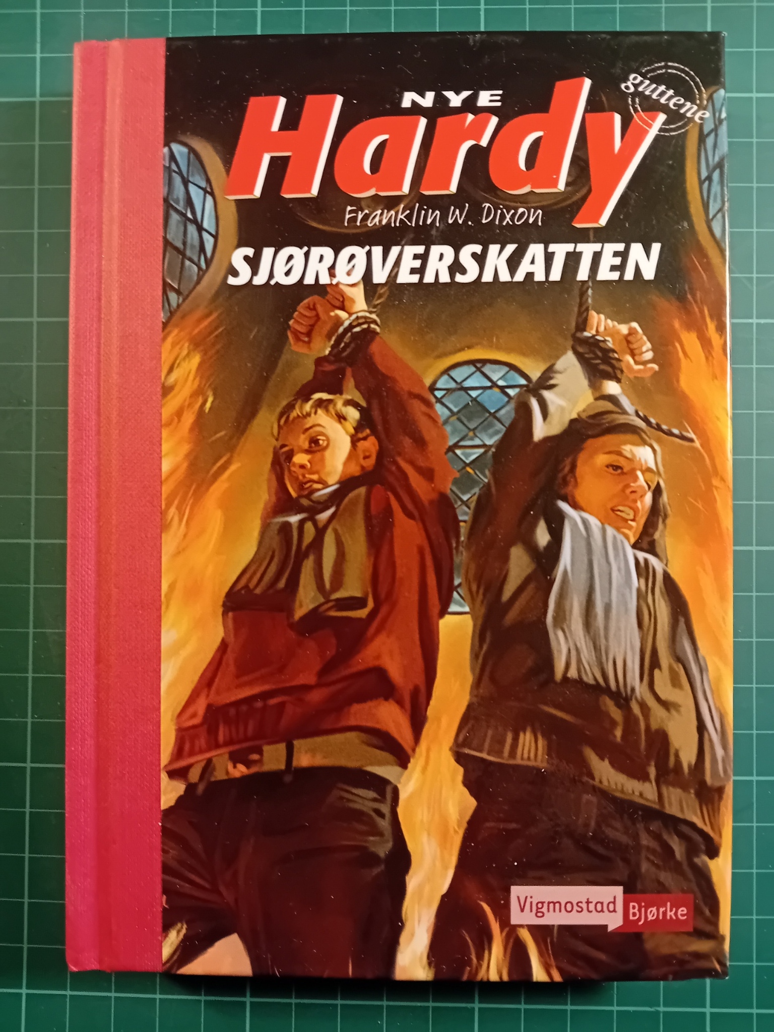 Nye Hardy-guttene 12 : Sjørøverskatten