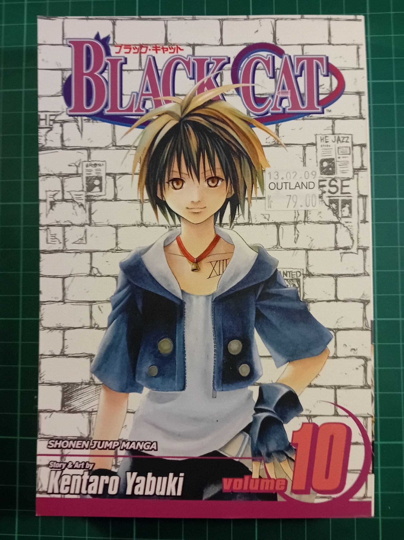 Black Cat volume 10 (USA)