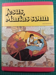 Jesus, Marias sønn