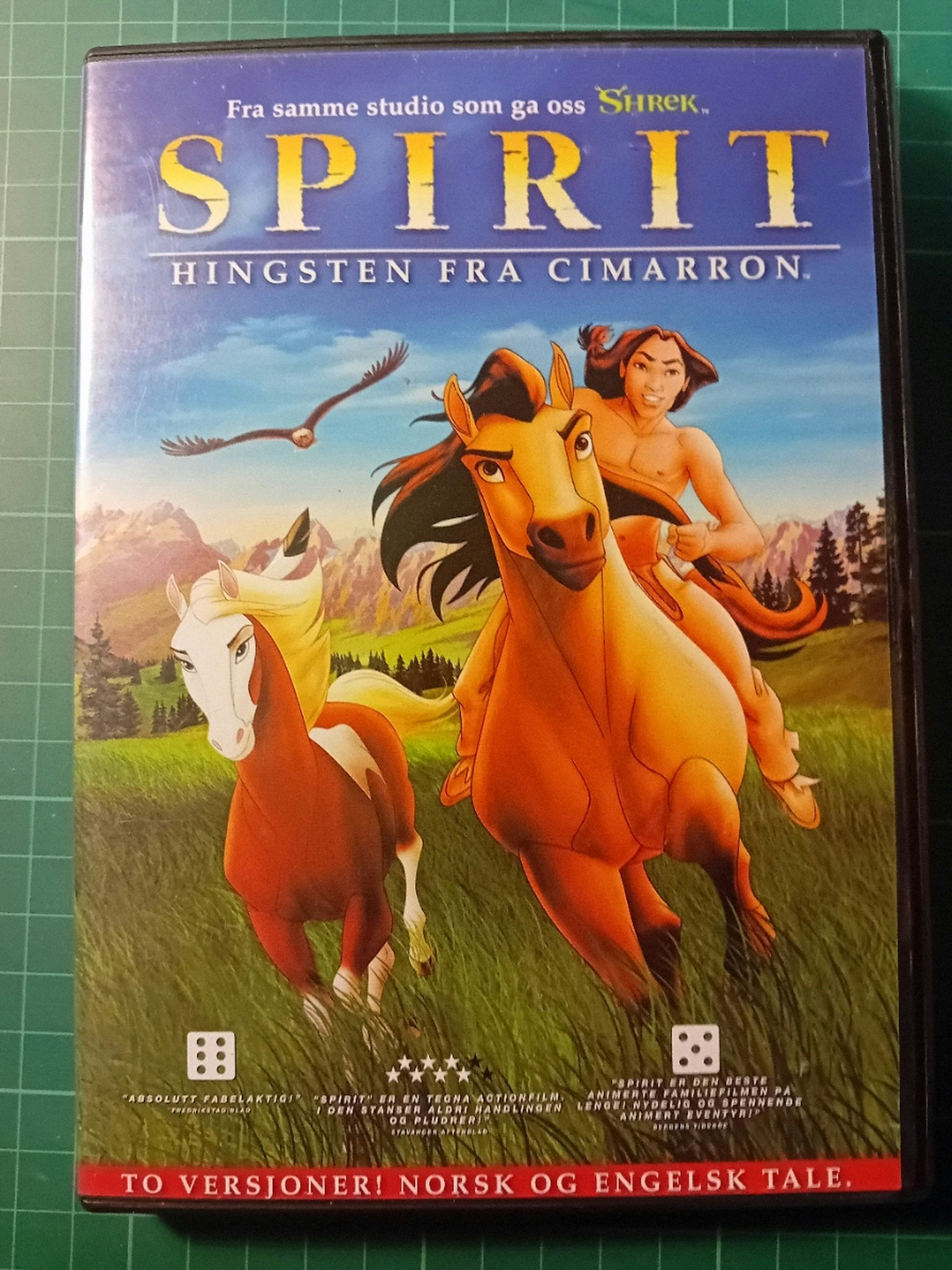 DVD : Spirit