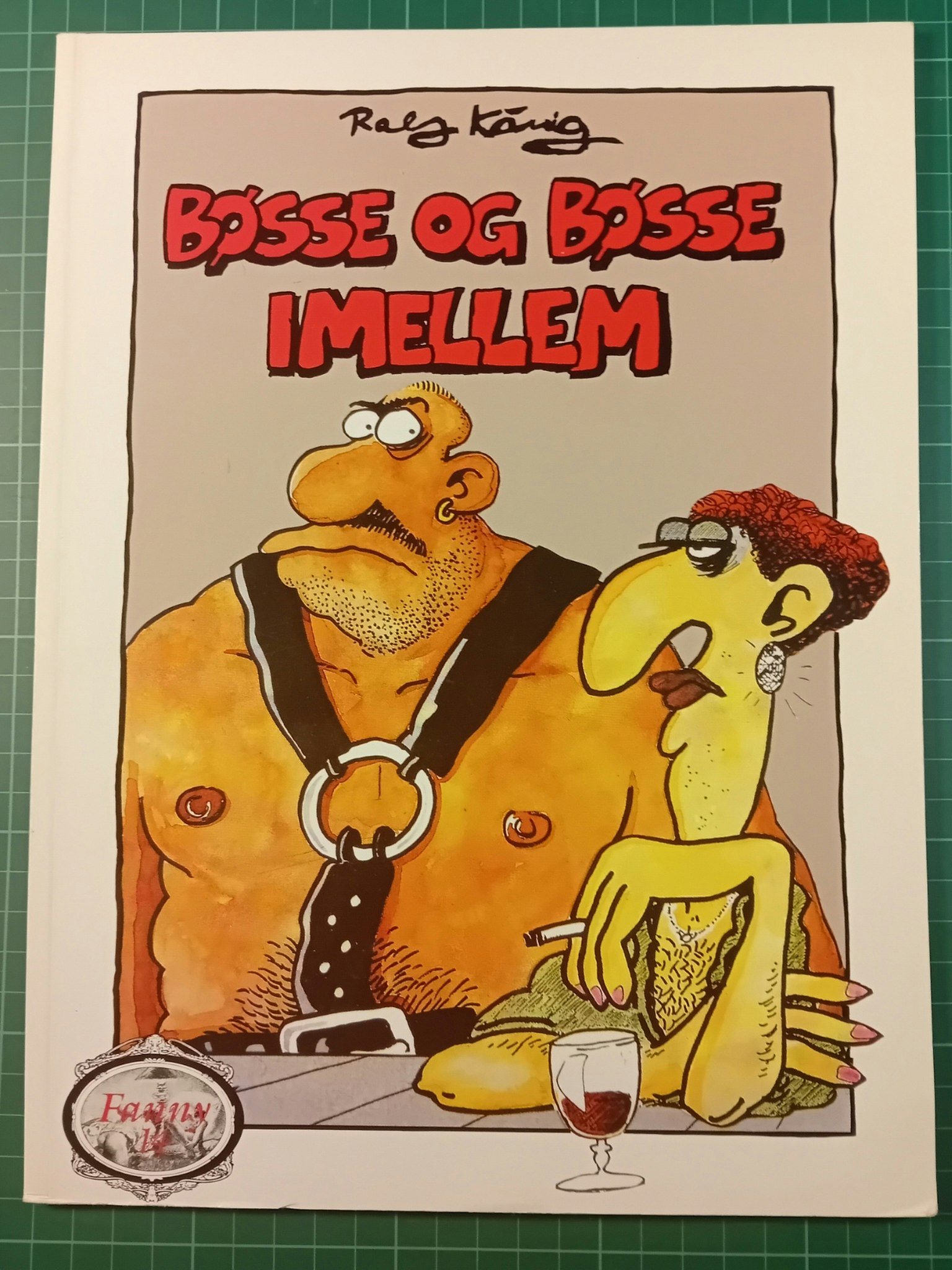 Bøsse og bøsse imellem (Dansk)