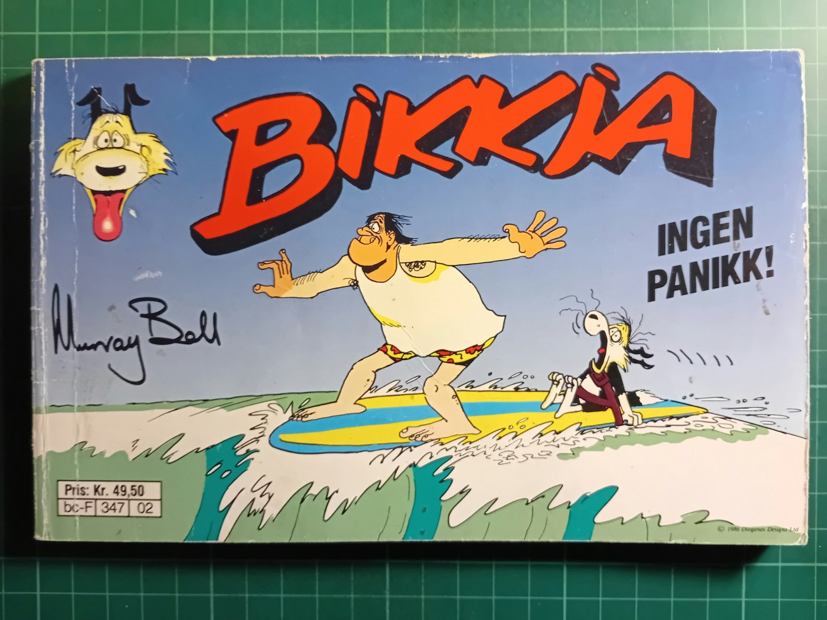 Bikkja Ingen panikk