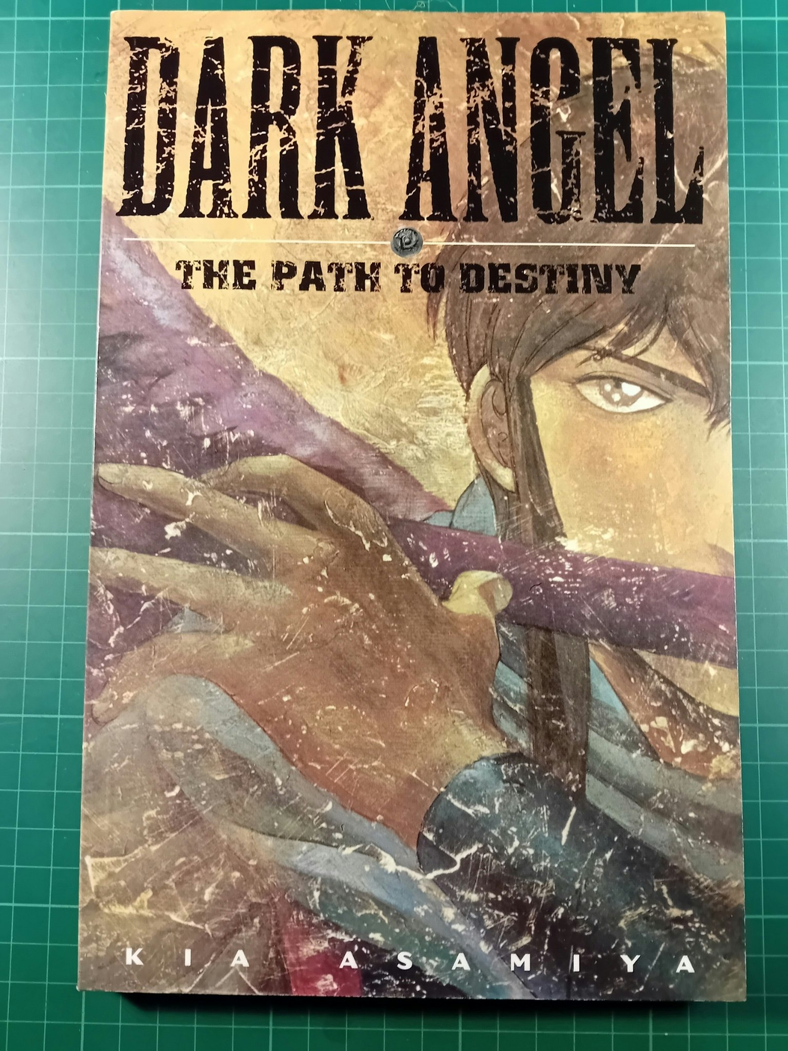 Dark Angel 1 The path to destiny