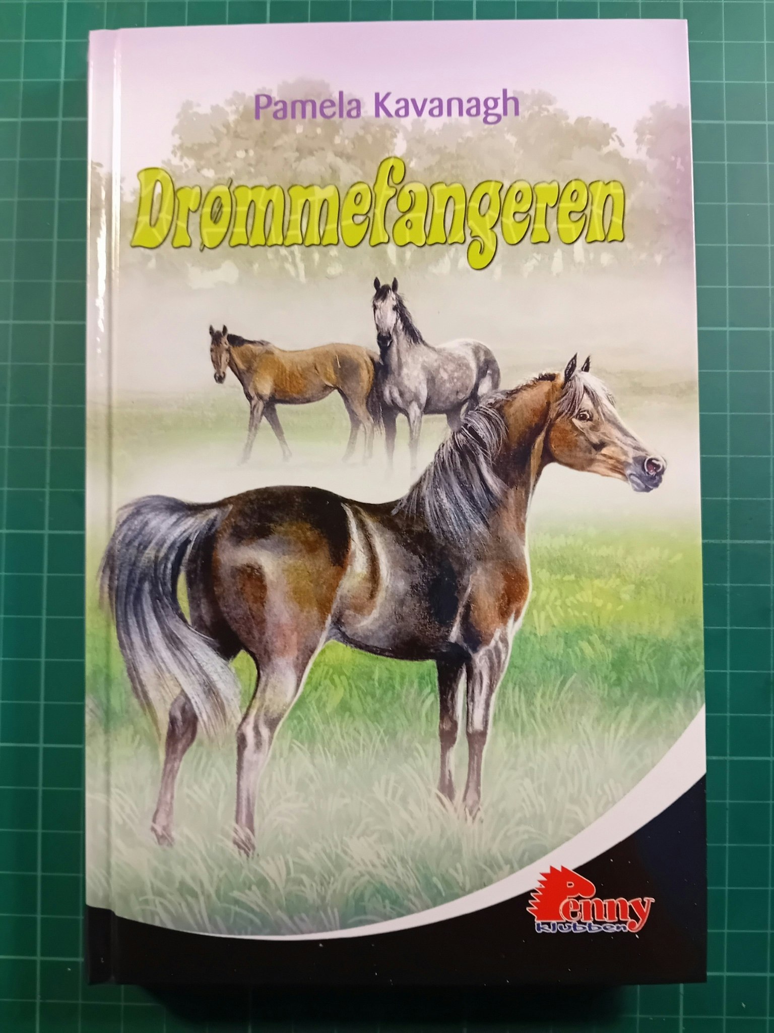 Drømmenfangeren