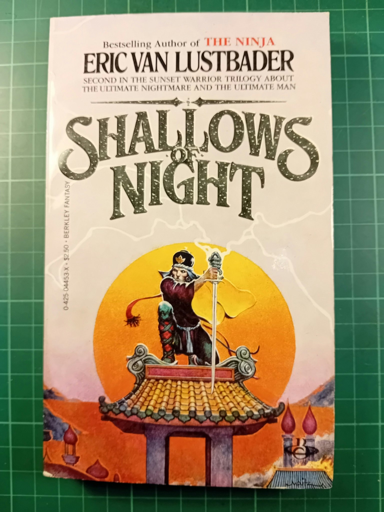 Eric Van Lustbader : Shallows of night