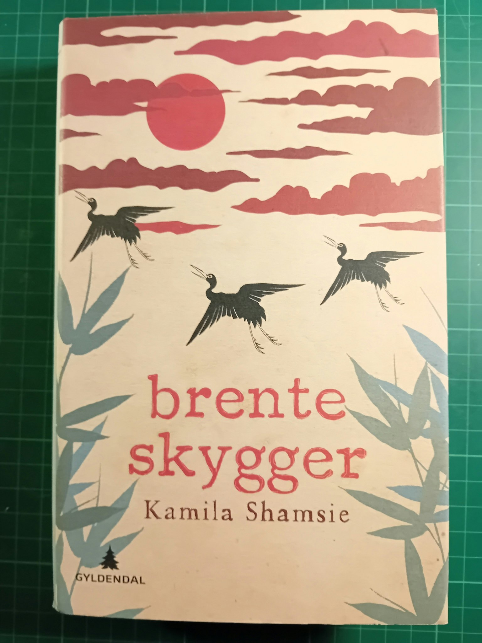 Kamila Shamsie : Brente skygger