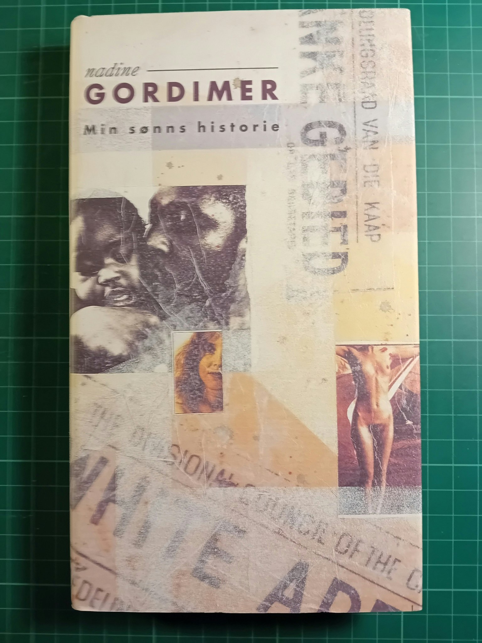 Nadine Gordimer : Min sønns historie