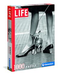 Puslespill Life magasine Chihuahua (1000 Biter)
