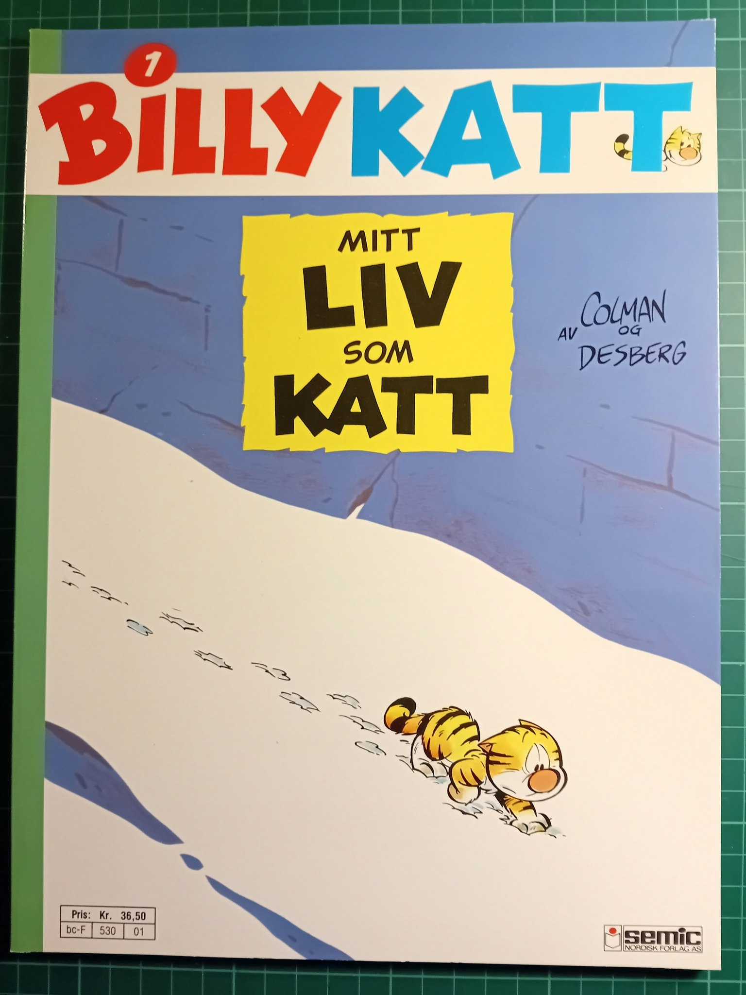 Billy katt 1 Mitt liv som katt