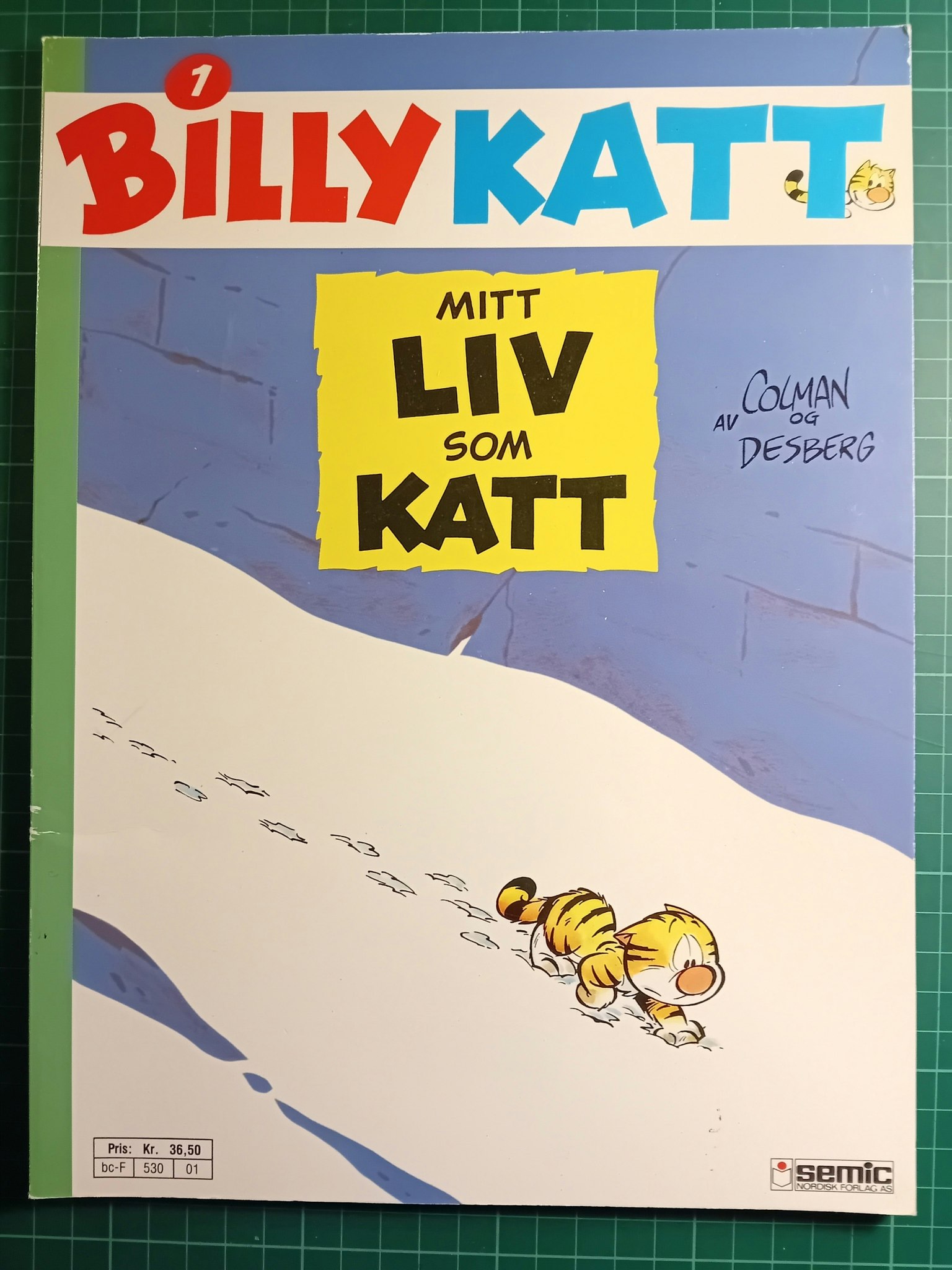 Billy katt 1 Mitt liv som katt