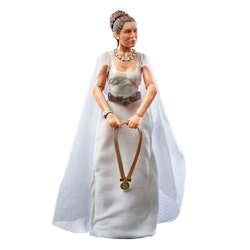 Star Wars Black Series:  Princess Leia ceremony (A new hope)