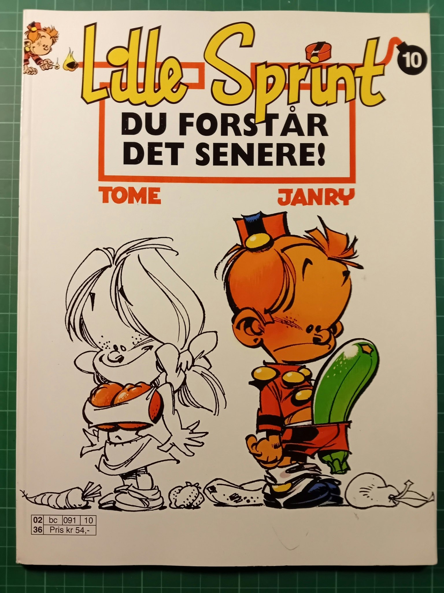 Lille Sprint 10 Du forstår det senere!