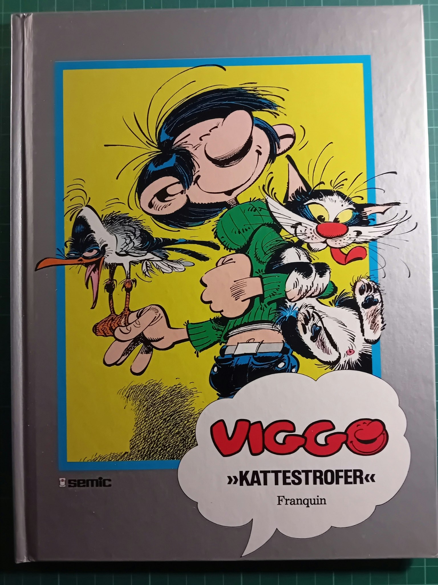 Viggo kattestrofer