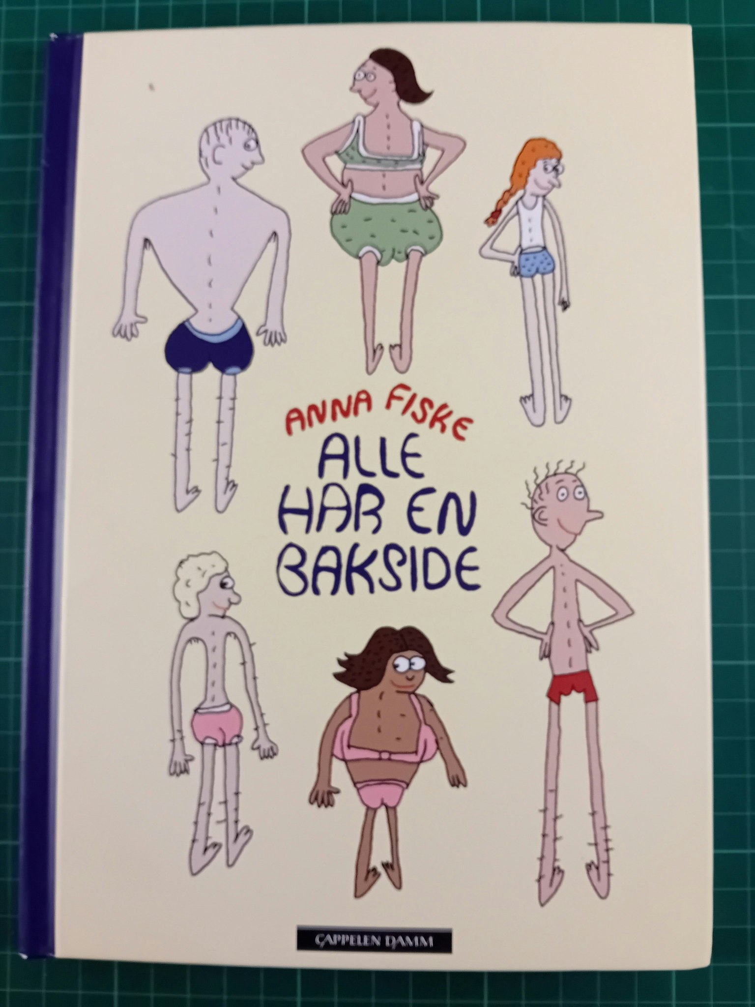 Anna Fiske : Alle har en bakside