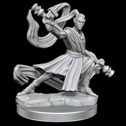 D&D frameworks Elf monk male