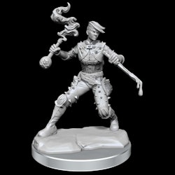 D&D frameworks Human rogue female