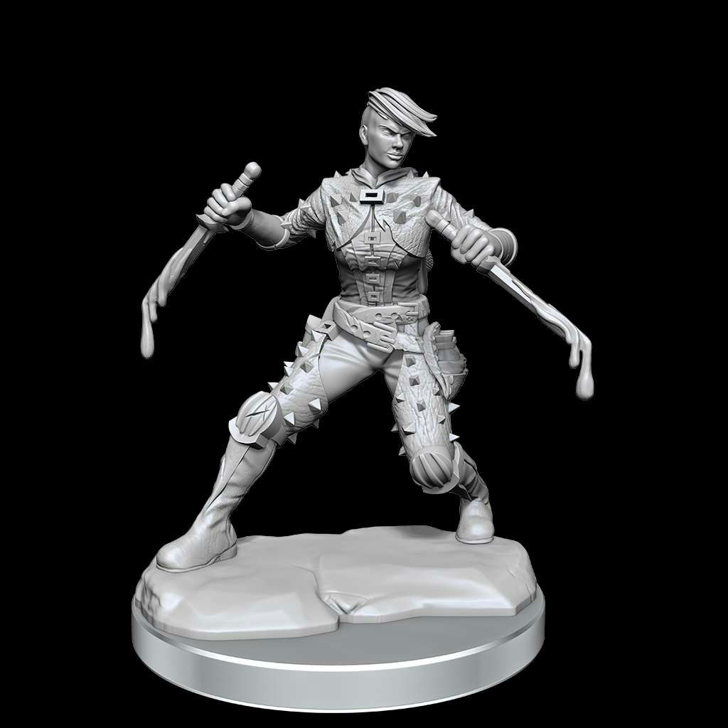 D&D frameworks Human rogue female