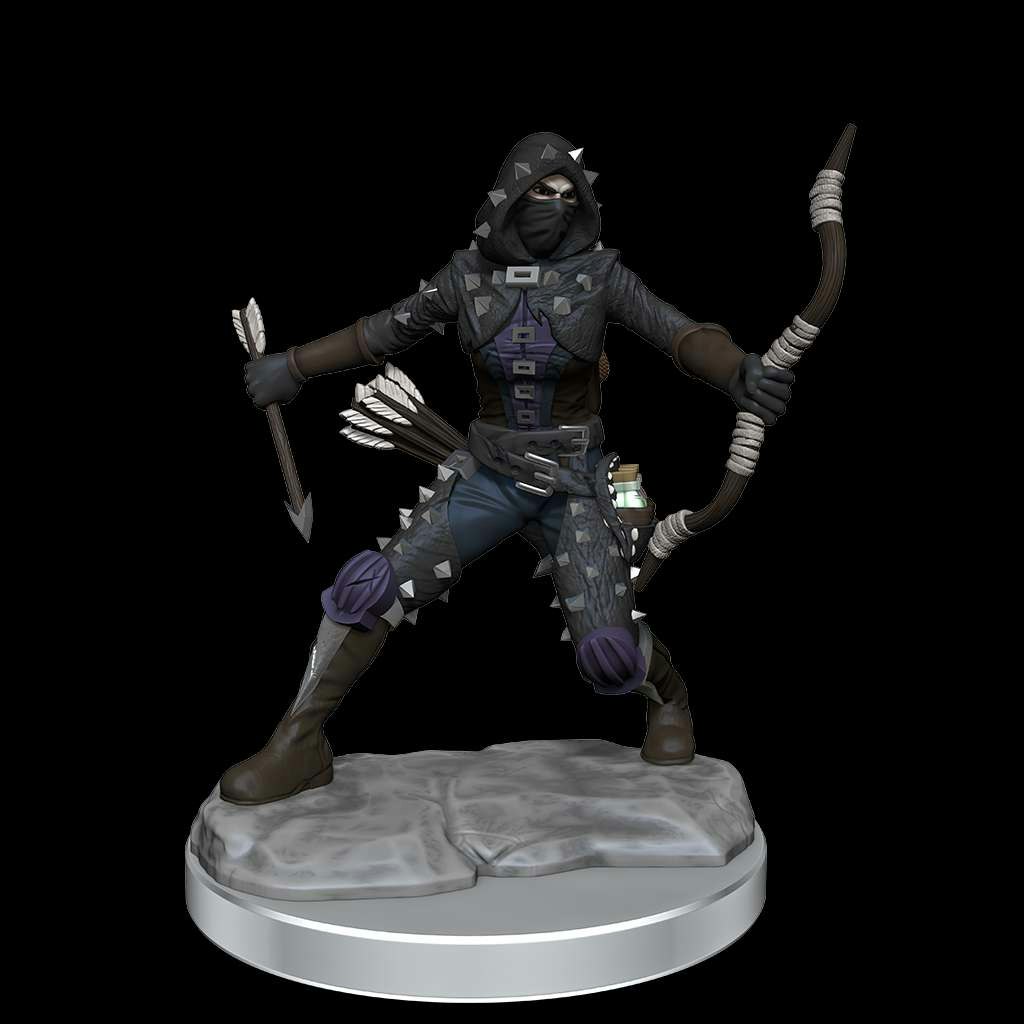 D&D frameworks Human rogue female