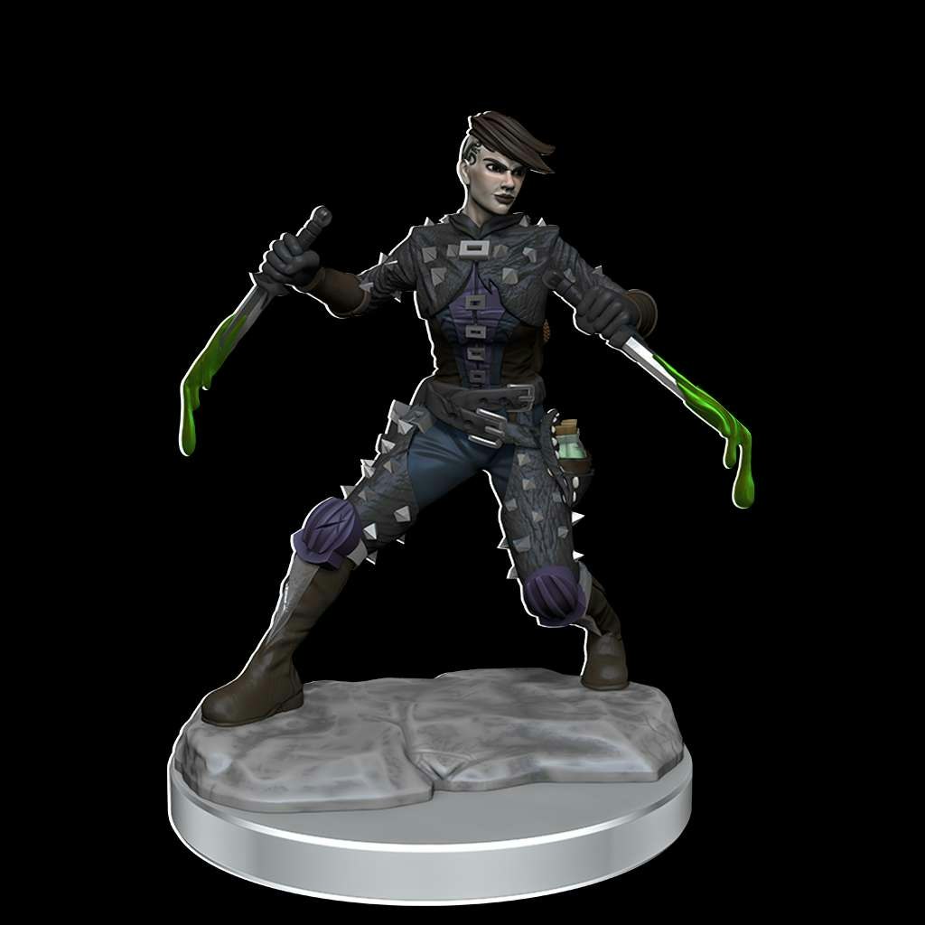 D&D frameworks Human rogue female