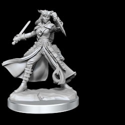 D&D frameworks Tiefling rogue female
